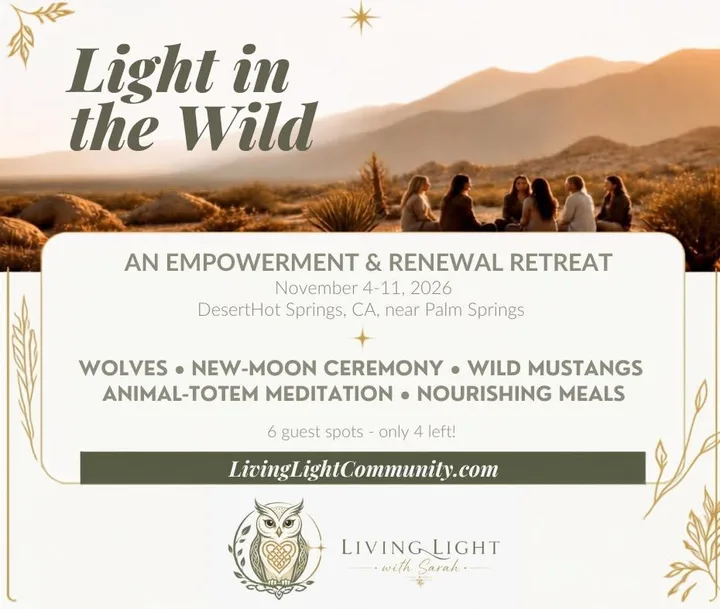 Immersive Desert Renewal Retreat
