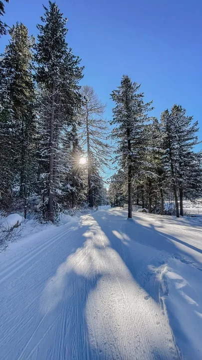 Cross-Country Skiing & Yoga Camp