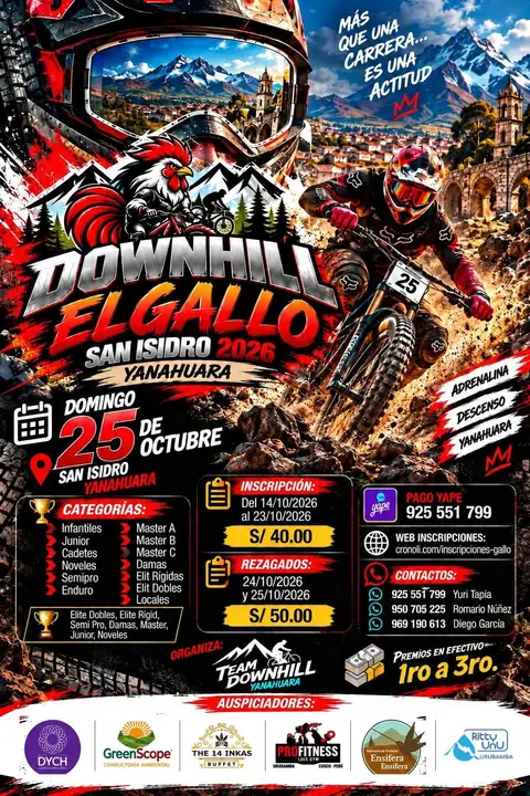 Dowhill el Gallo Yanahuara