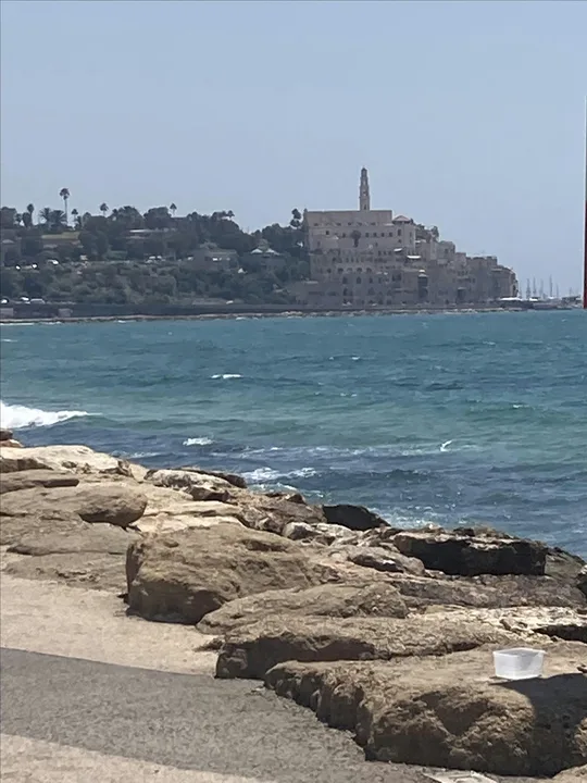 Art and Architecture Tour of Tel Aviv