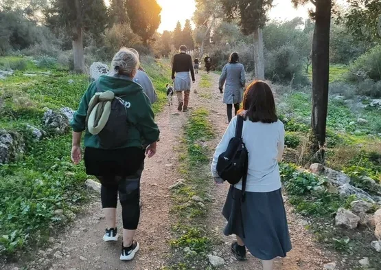 הולכים ביער