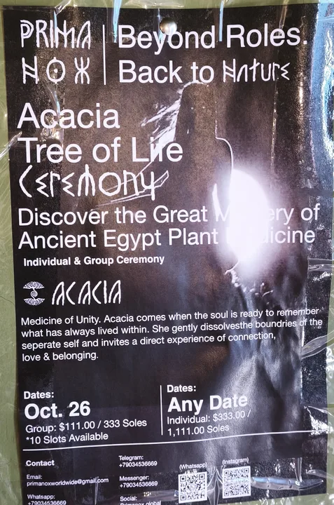 Acacia Tree of Life Ceremony (Primanox)