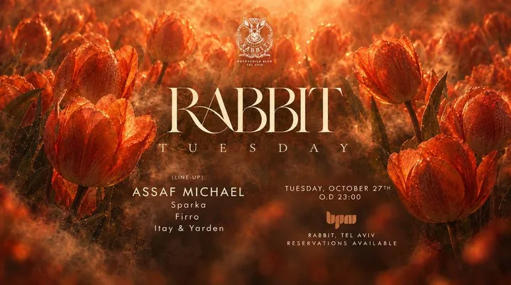 Tuesday Rabbit