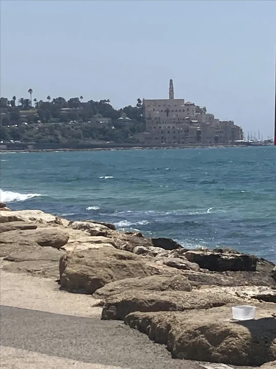 Art and Architecture Tour of Tel Aviv