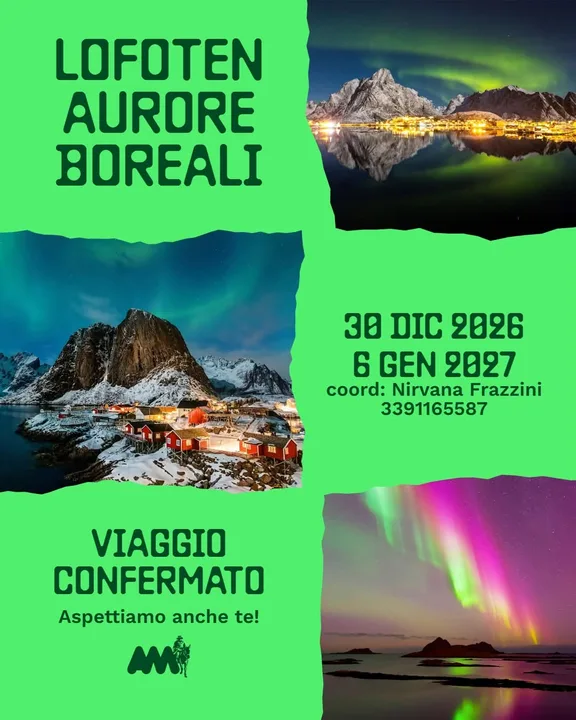 Lofoten: The Realm of the Northern Lights