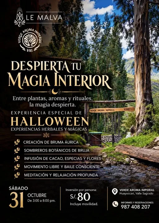 Halloween Magic Experience