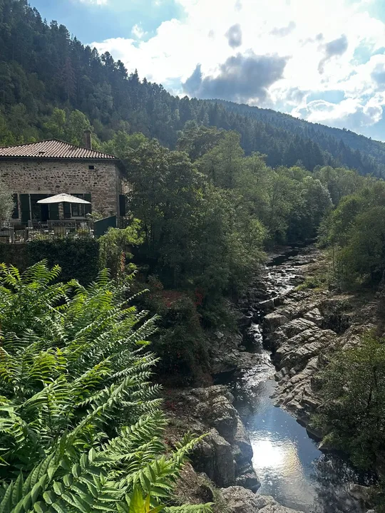 Sacred Wild and Mystic Retreat